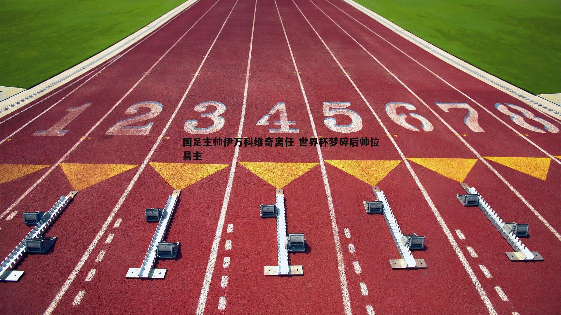 国足主帅伊万科维奇离任 世界杯梦碎后帅位易主